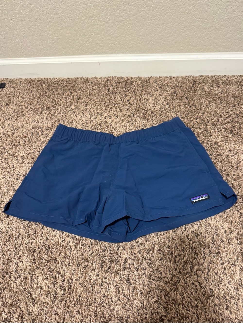 Patagonia Women's Deep Blue Athletic Shorts